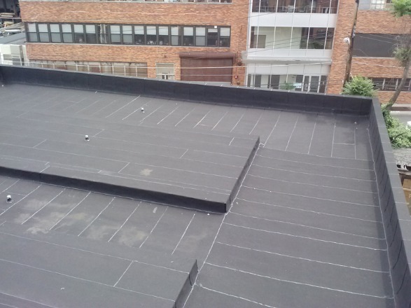 New Flat Roof